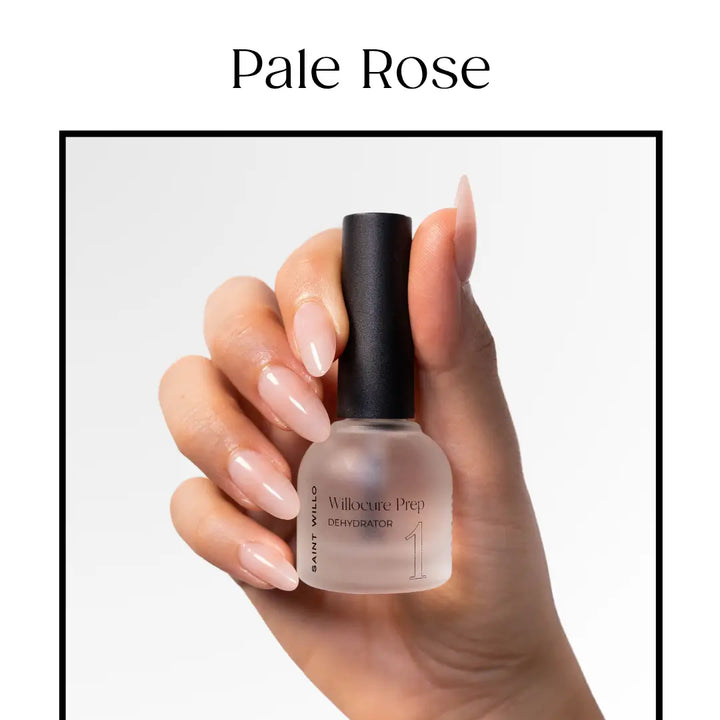 Signature Nude Shades (3-Shades)